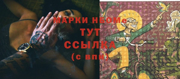 стаф Верхний Тагил